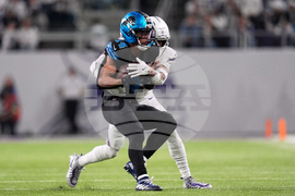 Lions Vikings Football