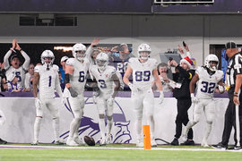 Lions Vikings Football