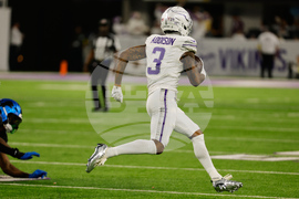 Lions Vikings Football