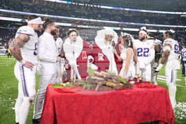 Lions Vikings Football