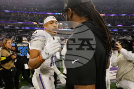 Lions Vikings Football