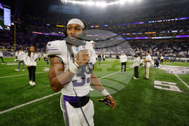 Lions Vikings Football