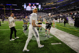 Lions Vikings Football