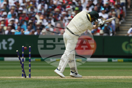 Australia England Cricket