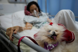 Pictures of the Week Latin America and Caribbean Photo Gallery