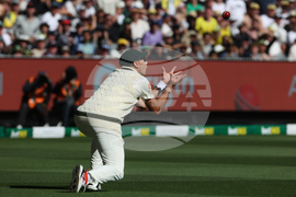 Australia England Cricket