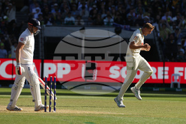 Australia England Cricket