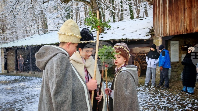 Габрово - обичай - коледуване