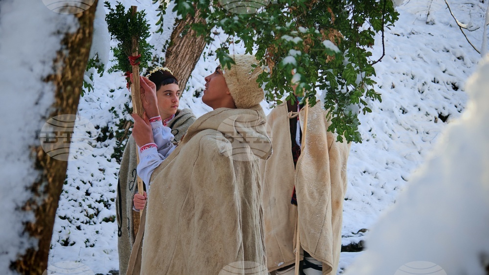 Габрово - обичай - коледуване