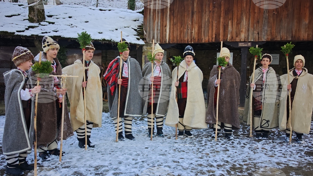 Габрово - обичай - коледуване