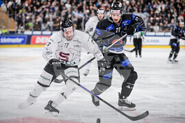 Switzerland Spengler Cup Hockey
