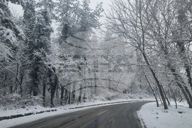 Плевен - парк „Кайлъка“ - зима