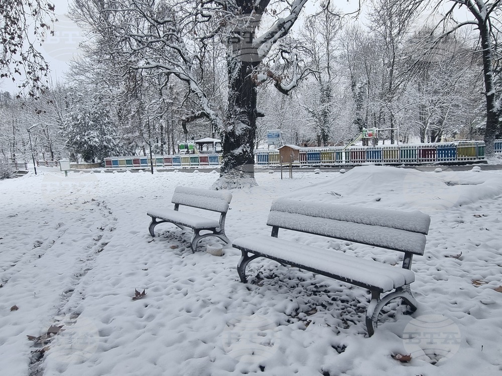 Плевен - парк „Кайлъка“ - зима