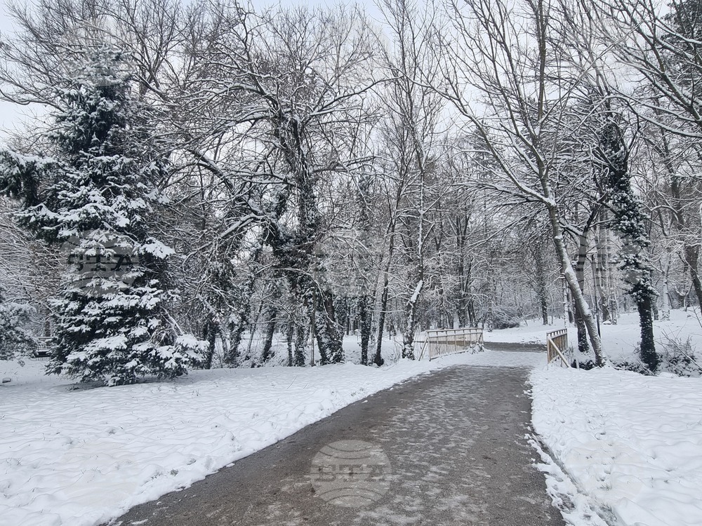 Плевен - парк „Кайлъка“ - зима