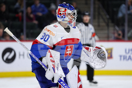 Sweden Slovakia Hockey