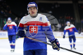 Sweden Slovakia Hockey