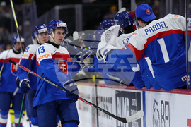 Sweden Slovakia Hockey