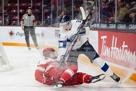 World Juniors Denmark Finland Hockey