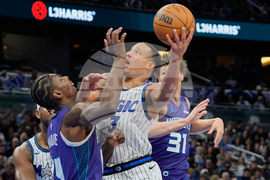 Hornets Magic Basketball