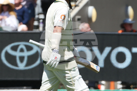 Australia England Cricket