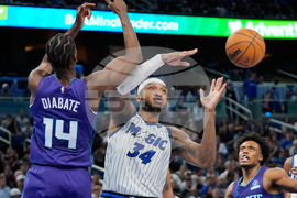 Hornets Magic Basketball