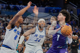 Hornets Magic Basketball