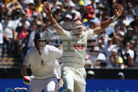 Australia England Cricket