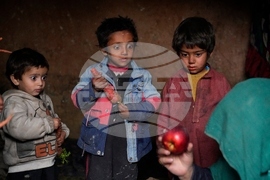 Afghanistan Humanitarian Crisis