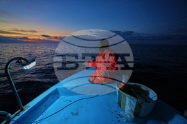 Cyprus Invasive Fish