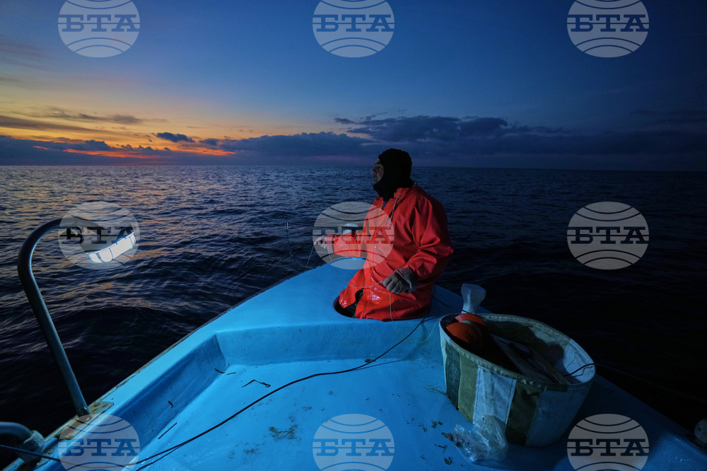 Cyprus Invasive Fish