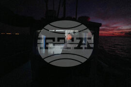 Cyprus Invasive Fish