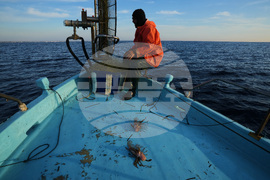 Cyprus Invasive Fish