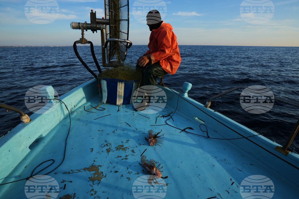 Cyprus Invasive Fish