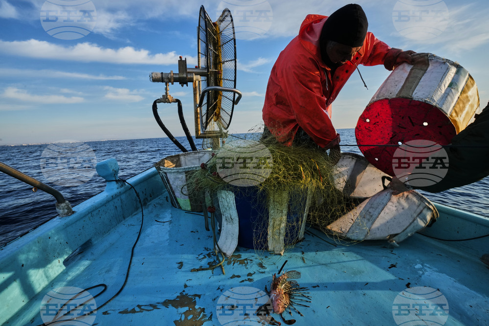Cyprus Invasive Fish