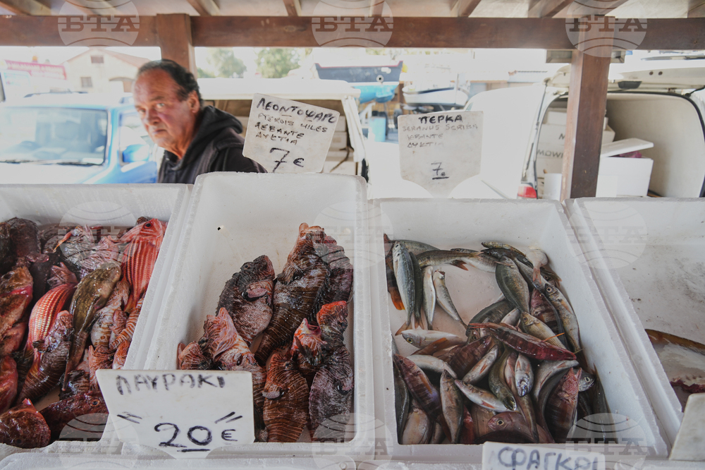Cyprus Invasive Fish
