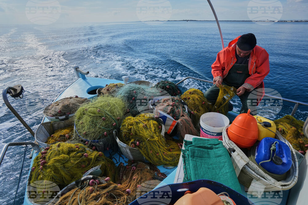 Cyprus Invasive Fish
