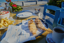 Cyprus Invasive Fish