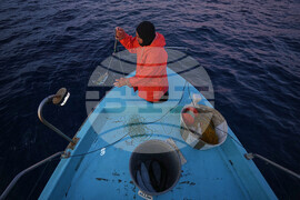 Cyprus Invasive Fish