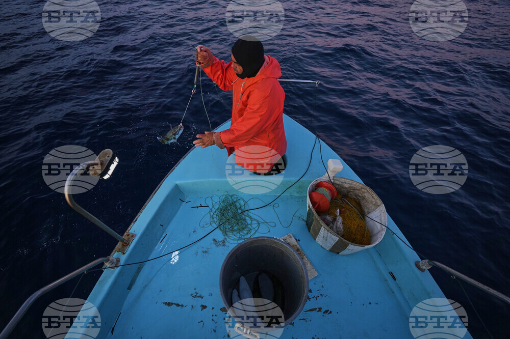 Cyprus Invasive Fish