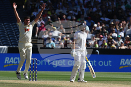 Australia England Cricket