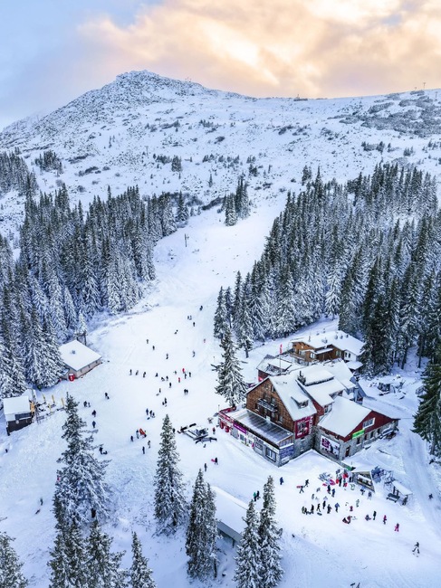 От визия към действие: Първите конкретни резултати за Витоша през 2025