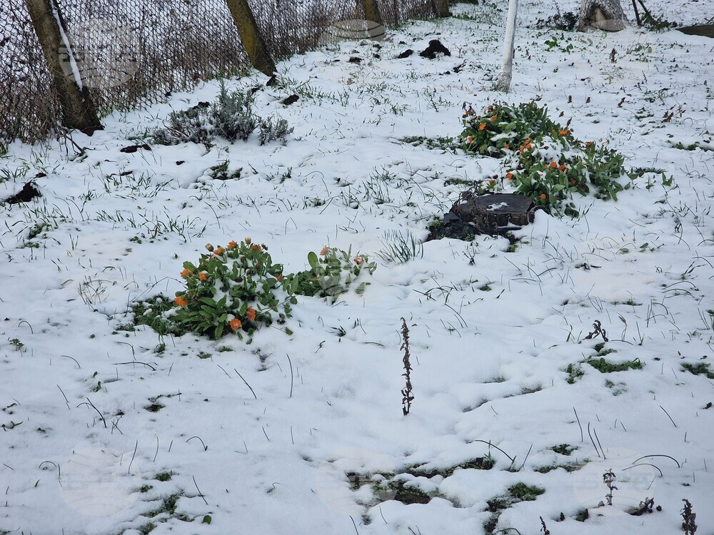Разград - зима