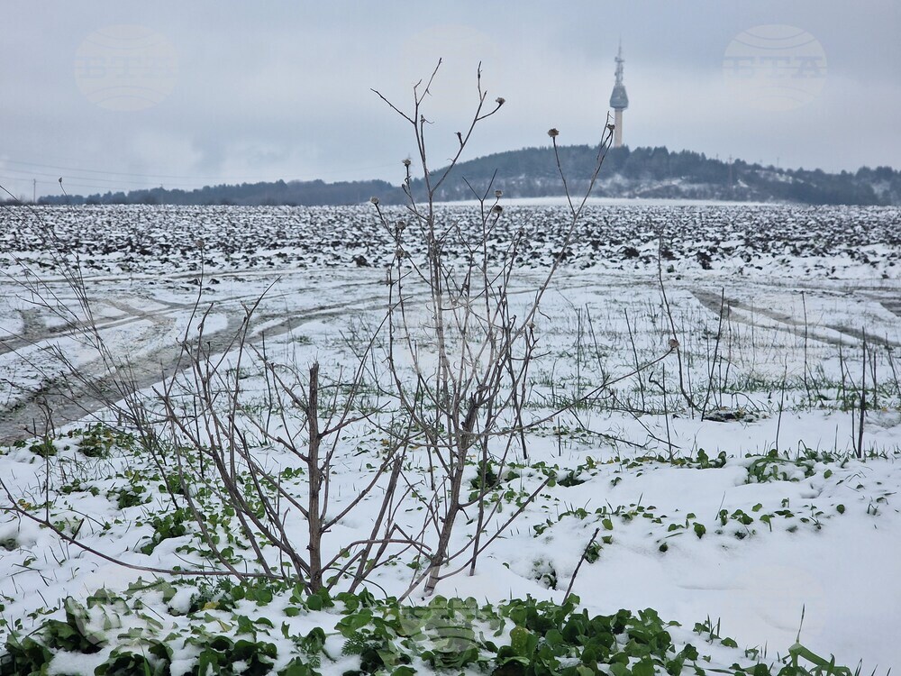 Разград - зима