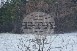 Разград - зима