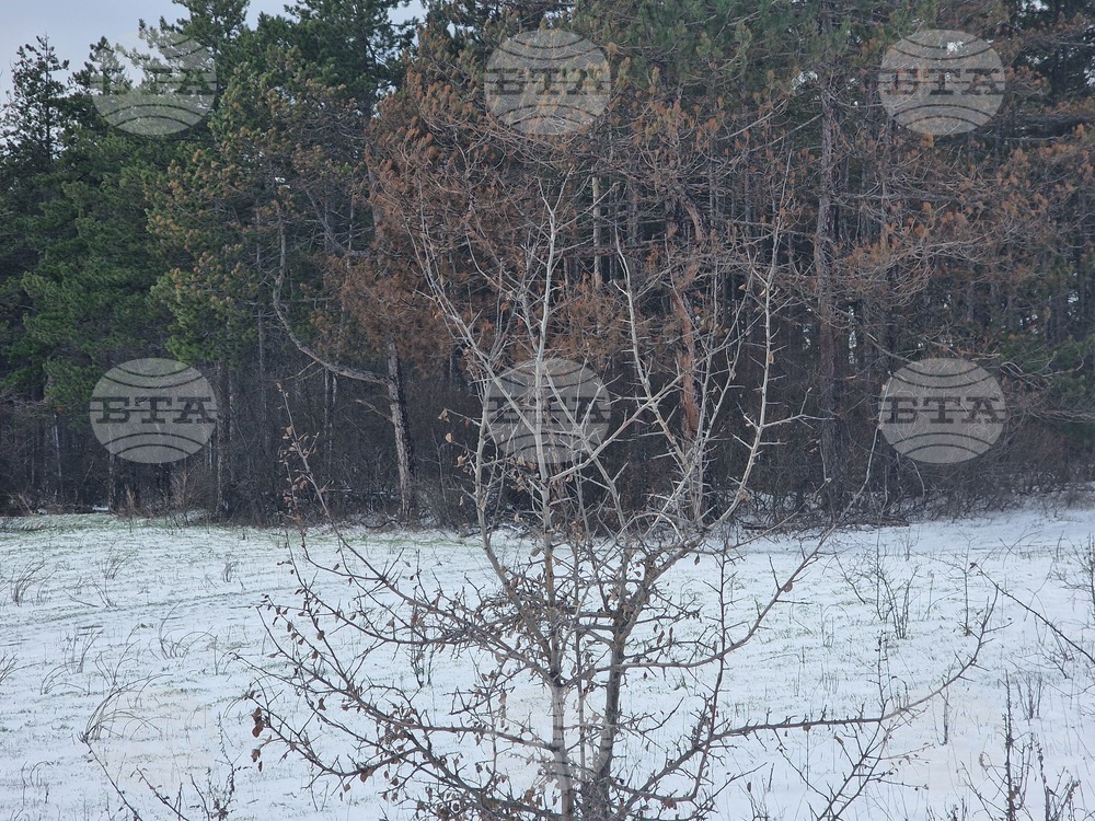 Разград - зима