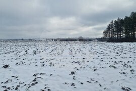 Разград - зима