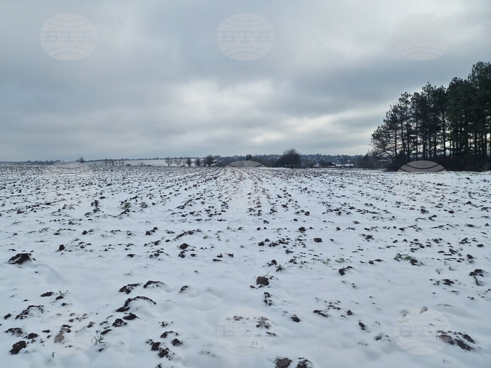 Разград - зима