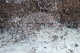 Разград - зима