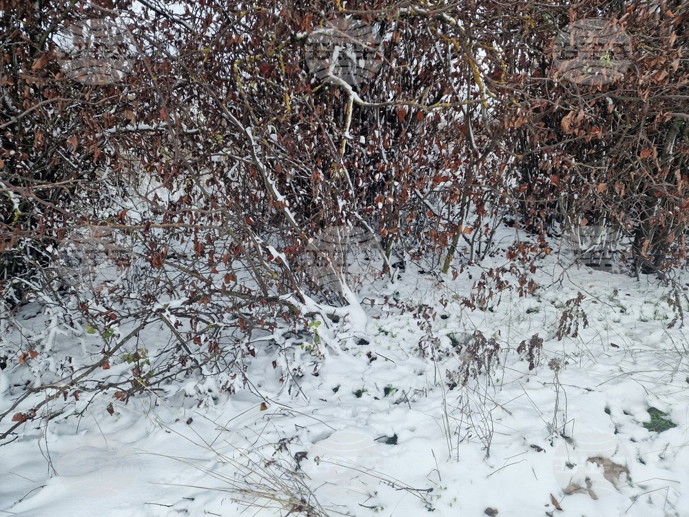 Разград - зима