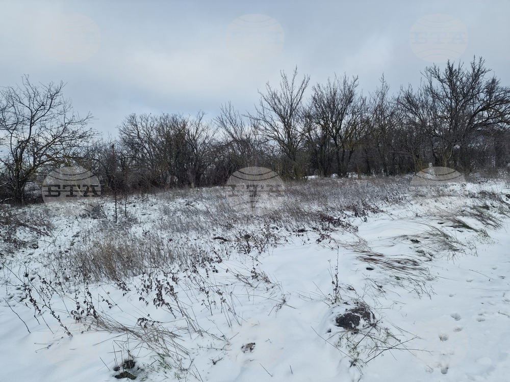 Разград - зима